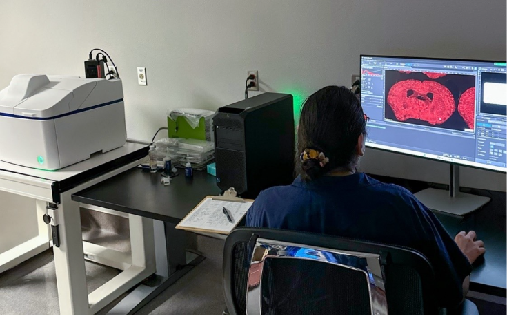 A person sitting at a desk looking at a computer screen Description automatically generated