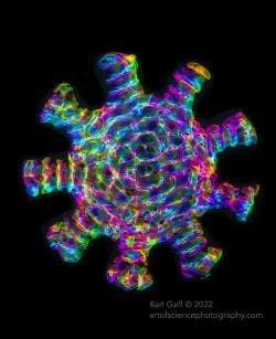 Acoustic modes within a virus-shaped cavity