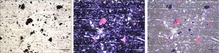 Sezione Sistemi Raman di JASCO Coroporation