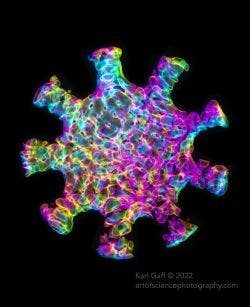 Acoustic modes within a virus-shaped cavity