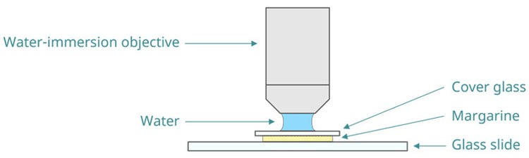 Diagramma di misura utilizzando un obiettivo a immersione d'acqua