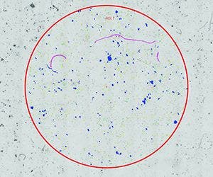 Distribuzione delle particelle