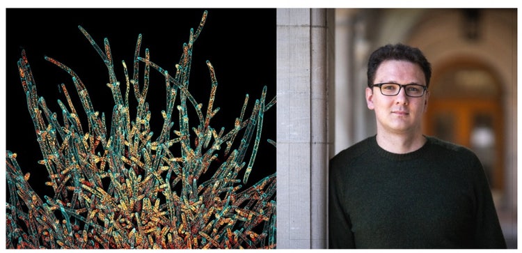 IOTY 2021 Americas regional winner Ivan Radin