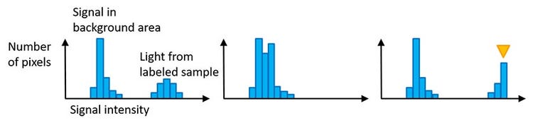 Microscope camera histogram