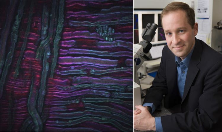 Dr. Conor Evans from the Evans Lab at the Wellman Center for Photomedicine at MGH