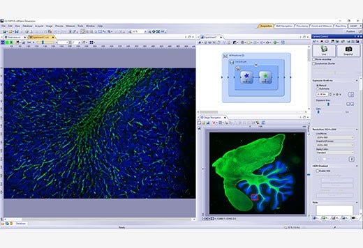 専任スタッフによる画像解析