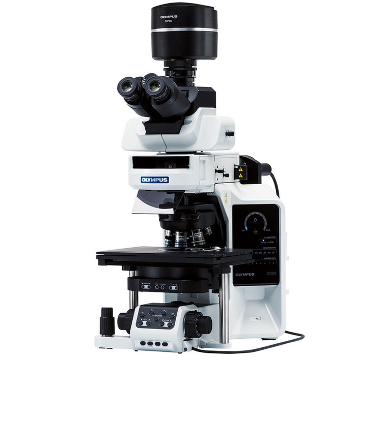 Microscopio dritto BX63 Immagine 1 di 1