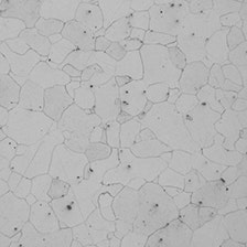 Immagine con bordi granulosi e sfocati