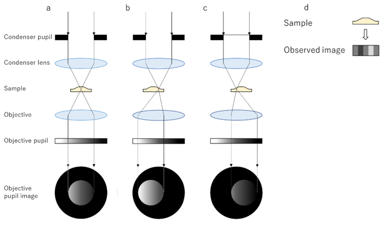 Illustration of the principle of the gradient contrast method