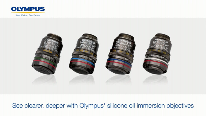Obiettivi ad immersione a olio di silicone per imaging con cellule vive