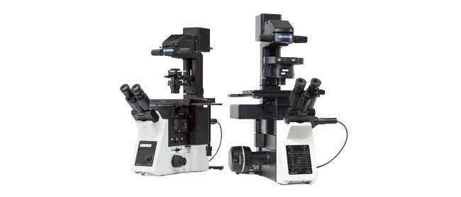 Inverted Microscopes