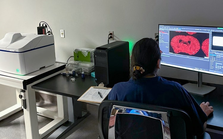 A person sitting at a desk looking at a computer screen Description automatically generated