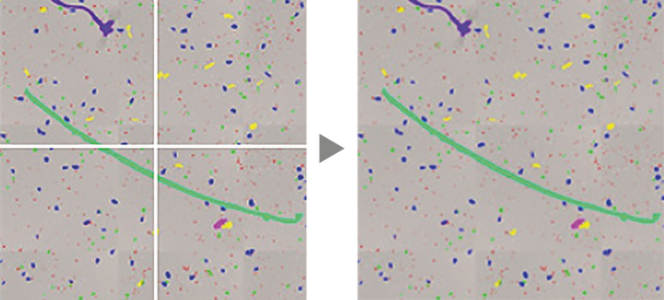 Le particelle di grandi dimensioni vengono combinate e analizzate automaticamente.