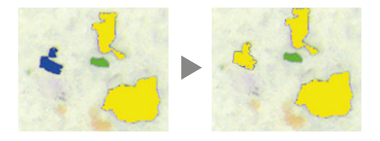 Correzione interattiva dei dati delle particelle sul sistema di ispezione CIX100