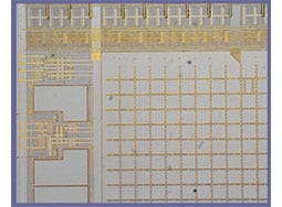 Mediante la tecnologia Focus peaking è possibile mettere a fuoco l'area di interesse.