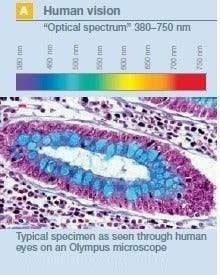 Excellent Color Reproducibility