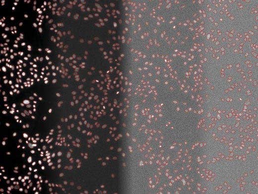 A New Way of Thinking