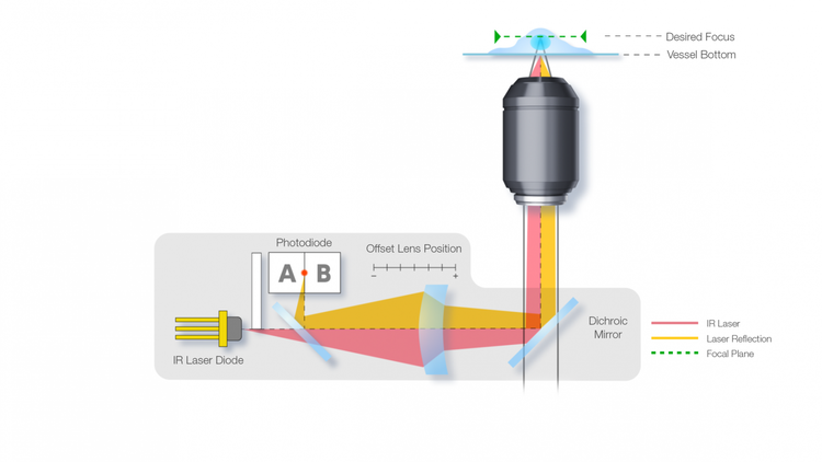 Infrared (IR) Laser Hardware Autofocus Based on the IX83 ZDC