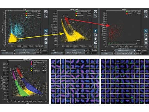 A hierarchical gating approach enables intuitive selection of populations, which may also be visualized in galleries.