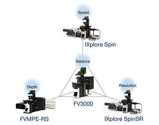 Works with Many Imaging Techniques
