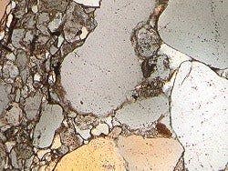 Working with Olympus Digital Cameras