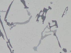Polished sample of AlSi - Brightfield