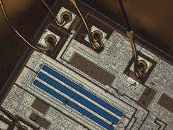 Opzionale Immagine a fuoco esteso