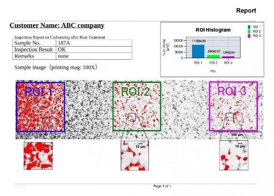 Report professionale con sintesi dei dati di conteggio delle particelle, inclusi i dettagli di immagini rilevati mediante lo zoom digitale , 画像