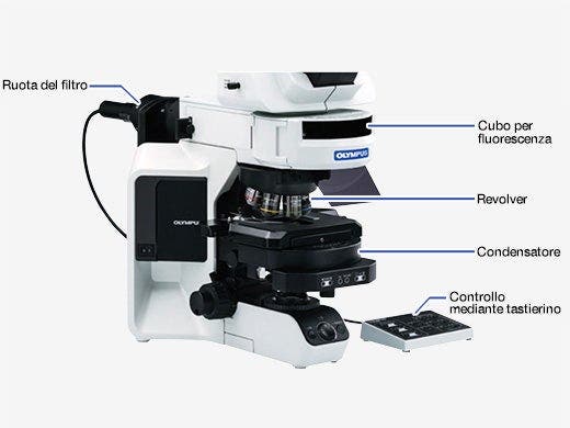 Upgrade alle componenti motorizzate