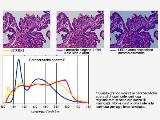 LED ad alta luminosità per la patologia e il laboratorio