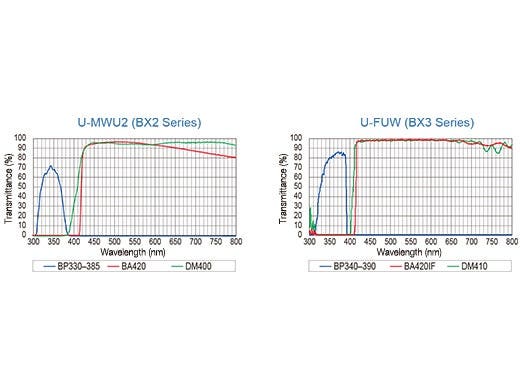 Fluorescence Mirror Units with Advanced Coatings and Stray Light Reduction