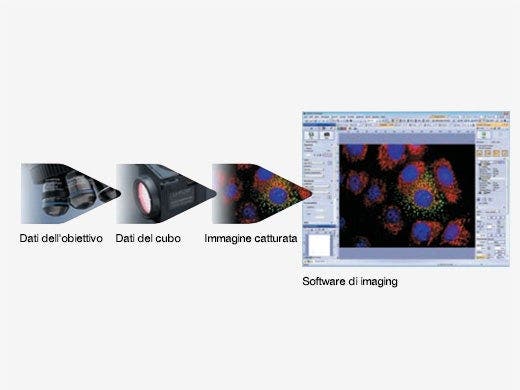Salvataggio dei dati di microscopia tramite unità codificate