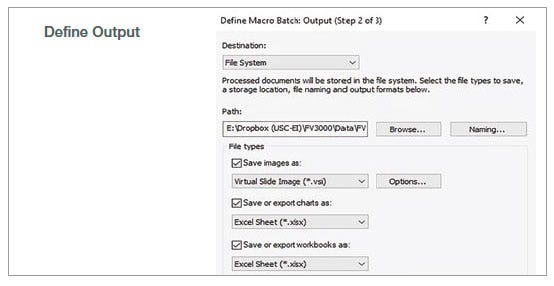 図2：記録したマクロプロセスを使用したバッチ解析のステップ3