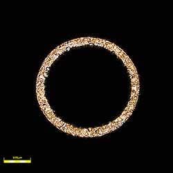 切断断面評価　対物レンズ20x ズーム1x