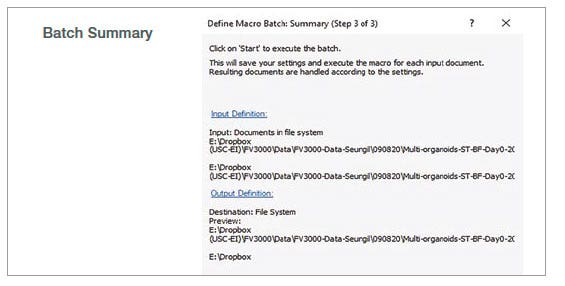 図2：記録したマクロプロセスを使用したバッチ解析のステップ4