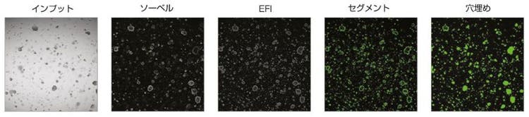 図1：マクロのプロセスとして記録したcellSens画像解析のステップ