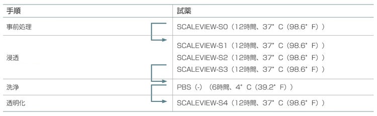 表1. 本来のSCALEVIEW-Sプロトコル