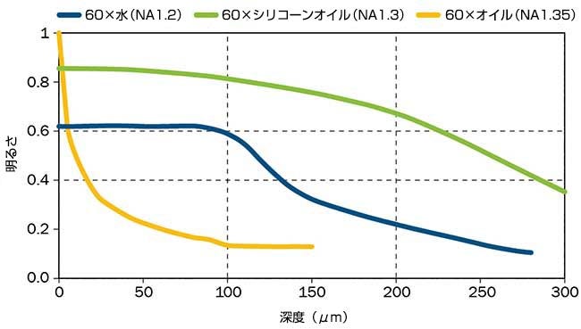 図1：60倍対物レンズの明るさ比較