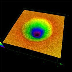 ３D、対物レンズ100x　ズーム1x