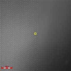 レーザー顕微鏡微分干渉画像　対物レンズ 20X