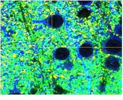 UPLASAPO60XO, Z=5μm