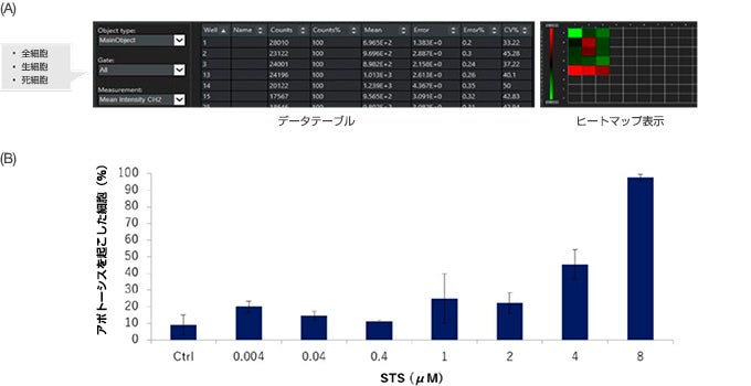 図6：STS処理/非処理におけるHT-29スフェロイドの生／死細胞解析の定量結果 (A) NoviSightソフトウェアは各ゲートについての定量化データを出力します。データをヒートマップに表示することもできます。(B) STSによってHT-29細胞死が用量依存的に増加しました。