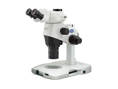 卵子・胚の経過観察