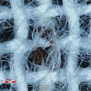 ハレーション除去なし