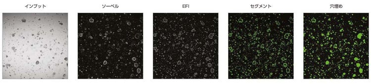 図1：マクロのプロセスとして記録したcellSens画像解析のステップ