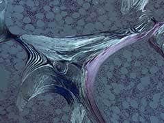 図３ 骨切片の偏光像 （セナルモンコンペンセーターによるコントラスト強調）