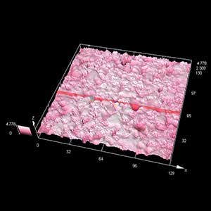 バーガイド表面　対物レンズ100X, ズーム1X