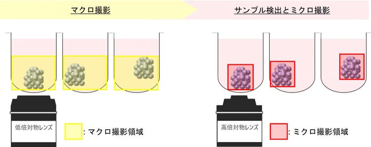 図１．マクロ～ミクロイメージングの概略図