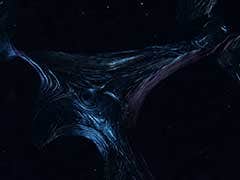 図１ 骨切片の偏光像（直交ニコル）