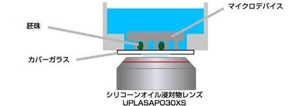 図7： シリコーンオイル浸対物レンズを用いたマイクロデバイスイメージングを描いた図